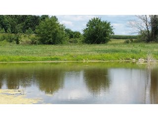 Property photo 9 - Real Estate Auction - 125.5 Acres in 6 Tracts - Tillable Farmland, Country Home, Building Sites, Wooded Land
